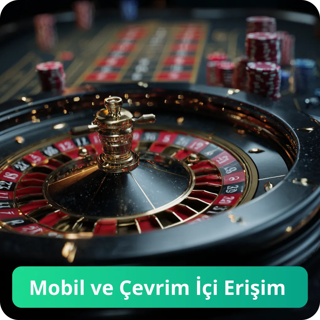 Mobil ve Çevrim İçi Erişim