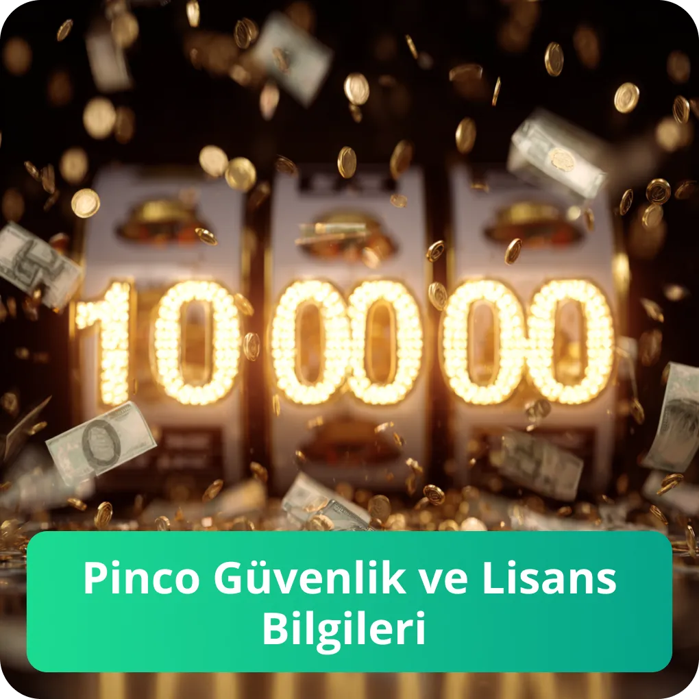 Pinco Güvenlik ve Lisans Bilgileri